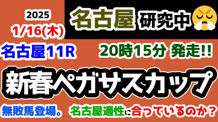 【名古屋競馬研究中😏】無敗馬登場😲  名古屋三冠に向けて適性は合っているのか？【2025.1.16 名古屋11R 新春ペガサスカップ】