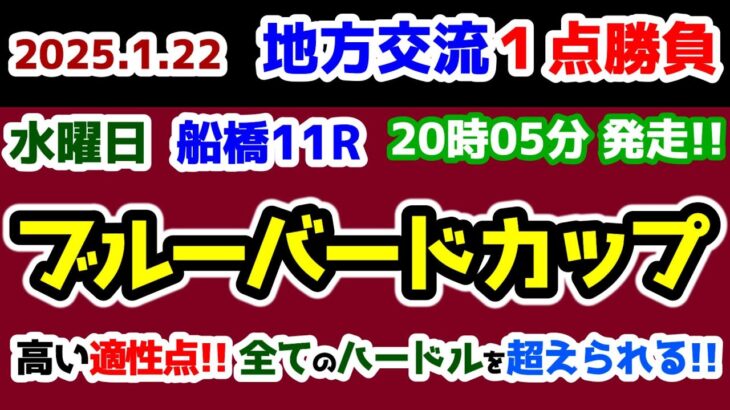 【地方交流１点勝負😤】 高い適性点の馬が現れた😲 これなら全てのハードルを越えられる🔥【2025.1.22 船橋11R ブルーバードカップ (Jpn3)】