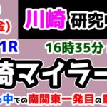 【川崎競馬研究中😏】失意の中で・・・南関東一発目の重賞!!【2025.1.3 川崎11R 川崎マイラーズ】