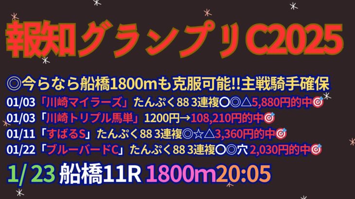 報知グランプリカップ2025予想【船橋競馬】1番人気は過去10年で2勝。連対率40％と不振【2-2-0-6】全頭診断＋調教診断＋買い目