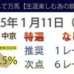 2025年1月11日競馬予想＃競馬＃競馬予想＃平場予想