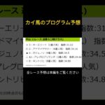 【ショート】2025年1月11日（土）中山競馬レース予想