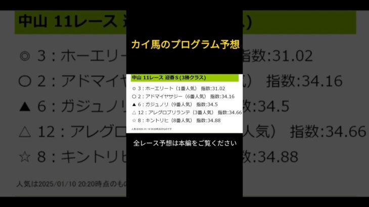 【ショート】2025年1月11日（土）中山競馬レース予想