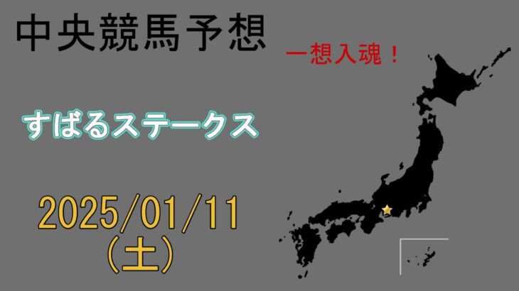 中央競馬予想　2025/1/11　中京11R [すばるステークス]