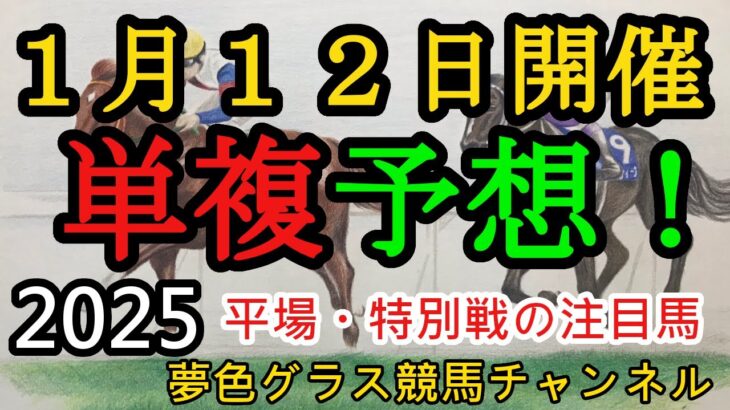 【単複平場予想】2025年1月12日JRA平場戦！穴馬本命の淀短距離ステークス等、平場・特別戦を楽しむ7頭！