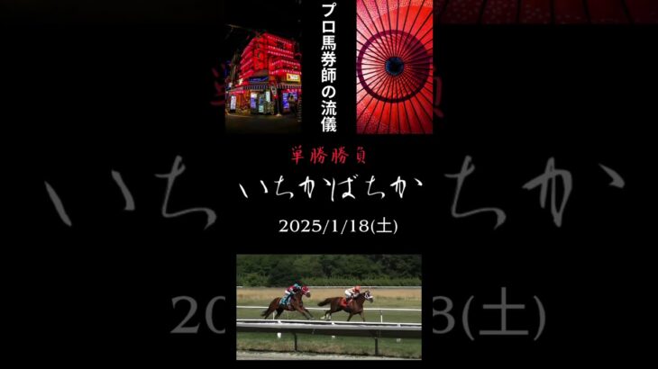 いちかばちか 2025/1/18 競馬予想 単勝勝負