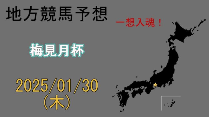 地方競馬予想　2025/1/30　名古屋11R [梅見月杯]