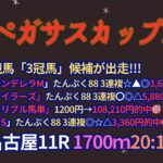 新春ペガサスカップ2025予想【名古屋競馬】1番人気は過去5年3勝。連対率100%【3-2-0-0】3着は20、21、23年に6～9番人気と穴にも注意!!!全頭診断＋買い目