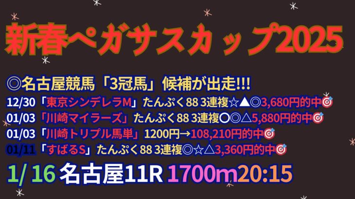 新春ペガサスカップ2025予想【名古屋競馬】1番人気は過去5年3勝。連対率100%【3-2-0-0】3着は20、21、23年に6～9番人気と穴にも注意!!!全頭診断＋買い目