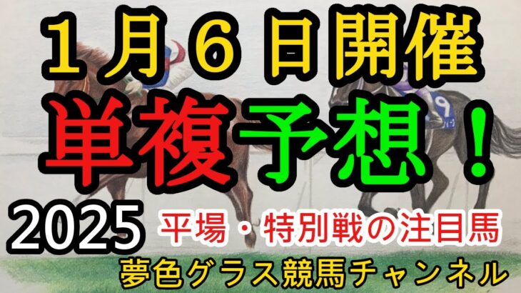 【単複平場予想】2025年1月6日JRA平場戦！万葉ステークス、サンライズステークスの予想も妙味がありそうな馬を目指して！平場・特別戦を楽しむ8頭！