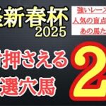 【日経新春杯2025】厳選穴馬予想！強いレースをしているが意外と過小評価されていて激走の可能性秘める2頭を公開！