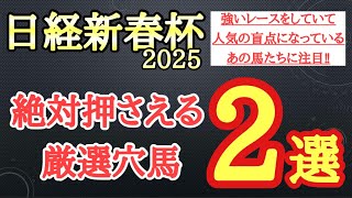 【日経新春杯2025】厳選穴馬予想！強いレースをしているが意外と過小評価されていて激走の可能性秘める2頭を公開！