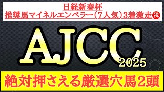 【アメリカジョッキークラブカップ2025】厳選穴馬予想！想定二桁人気も！？本来の力を発揮できれば激走の可能性秘める2頭を公開！