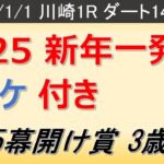 【2025幕開け賞3歳5】ヤングマン氏のレース予想！2025年新年一発目のレースが今年もやってきた！！