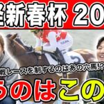 【日経新春杯・2025予想】明け4歳vs古馬の混戦中距離G2！！全員の本命を大公開！！