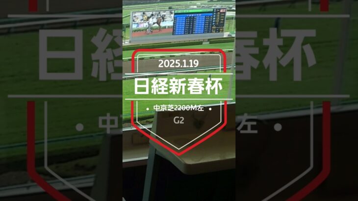 【日経新春杯 2025】上位5頭予想！混戦のG2、日経新春杯！ショウナンラプンタ、メイショウタバルら明け4歳馬は果たしてどこまで…