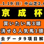 【京成杯2025】過去データ9項目解析!!買いたい馬3頭と消せる人気馬1頭について(競馬予想)