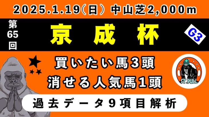 【京成杯2025】過去データ9項目解析!!買いたい馬3頭と消せる人気馬1頭について(競馬予想)