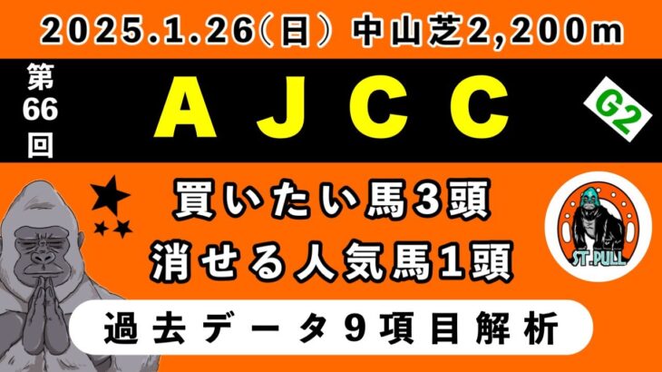 【アメリカジョッキークラブカップ2025】過去データ9項目解析!!買いたい馬3頭と消せる人気馬1頭について(競馬予想)