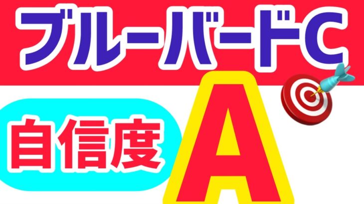 【ブルーバードカップ2025】【自信度A】中央馬３頭では決まらない【競馬予想】