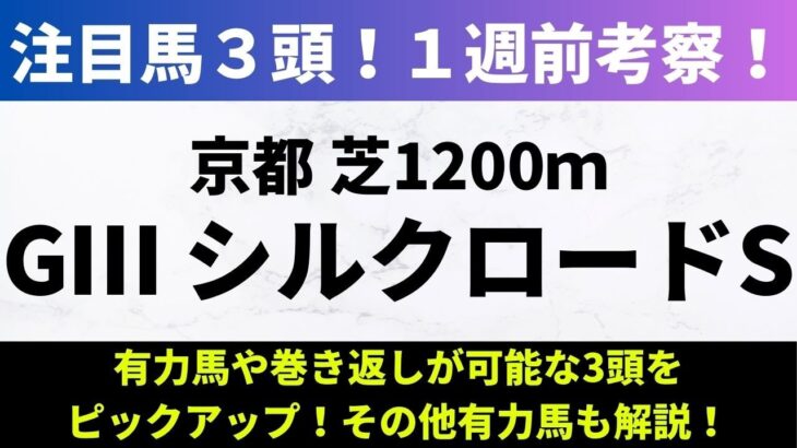 【2025シルクロードS】1週前考察｜有力馬や巻き返しが可能な3頭をピックアップ！その他有力馬も解説！