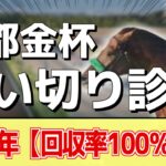 追い切り徹底解説！【京都金杯2025】ドゥアイズ、シャドウフューリーなどの状態はどうか？調教S評価は2頭！