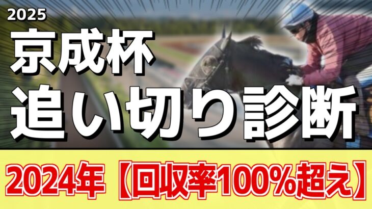 追い切り徹底解説！【京成杯2025】キングノジョー、パーティハーンなどの状態はどうか？調教S評価は2頭！