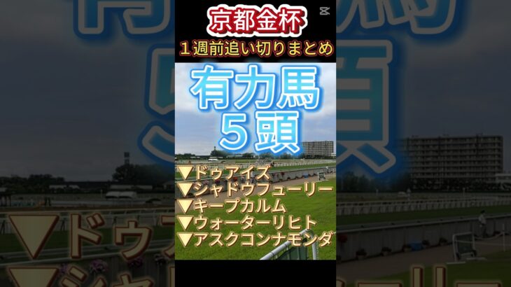 【京都金杯】2025　１週前追い切り#競馬予想#shorts#競馬#有馬記念#ドゥアイズ