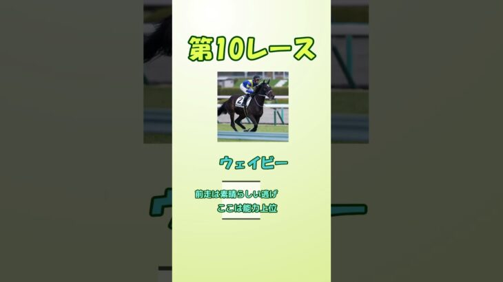 この動画を見てから京都競馬を予想しよう！2/1（土）編