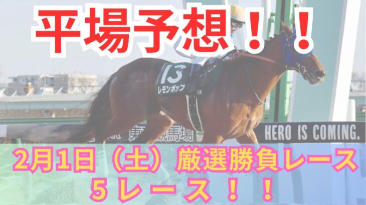 【平場競馬予想】2月1日の厳選競馬予想5レース！