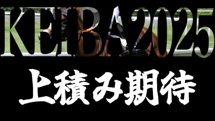 三日間開催初日いくぞ！！【中山2R・平場・競馬予想】No.306