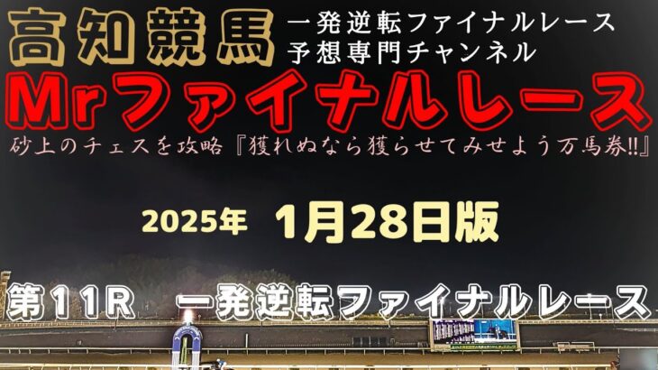 『⑩ミスバイキングは76戦目の初勝利なるか？』Mrファイナルレースの高知競馬予想20250128版