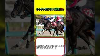 シャケトラについて語るスレ #競馬 #競馬予想 #AJCC #阪神大賞典 #石橋脩 #フィエールマン #ルメール