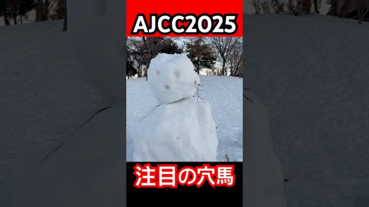 【AJCC2025 注目の穴馬‼️】#ajcc #中山競馬場 #競馬 #競馬予想 ##アメリカジョッキークラブカップ #ウマグチ