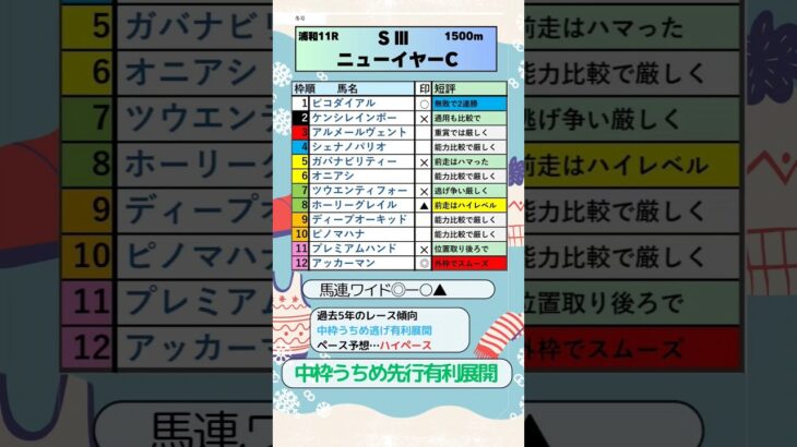 🏆ニューイヤーC予想🏆💮アッカーマン💮#ガバナビリティー 　 　#ホーリーグレイル 　#プレミアムハンド 　#アッカーマン 　#ニューイヤーカップ2025 　　#地方競馬 　#競馬予想