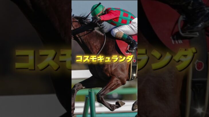 G2AJCCの注目馬を3頭紹介＃競馬＃競馬予想＃ダノンデサイル＃レーベンスティール＃コスモキュランダ＃アメリカジョッキークラブカップ