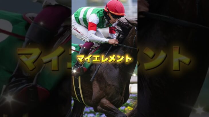 G3シンザン記念の注目馬3頭を紹介＃競馬＃競馬予想＃アルテヴェローチェ＃マイエレメント＃マイネルチケット