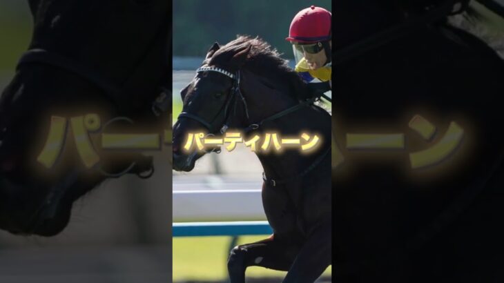 G3京成杯の注目馬を3頭紹介＃競馬＃競馬予想＃キングノジョー＃パーティハーン＃ゲルチュタール