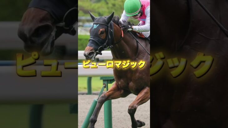 G3シルクロードSの穴馬を3頭紹介＃競馬＃競馬予想＃レッドアヴァンティ＃カピリナ＃ピューロマジック