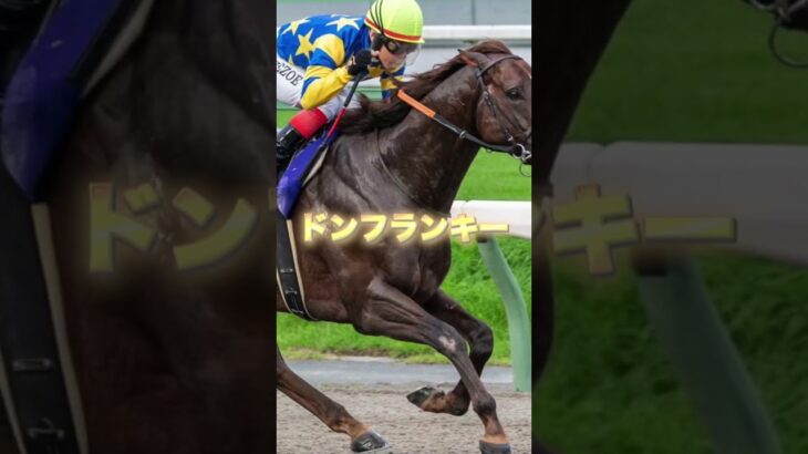 G3根岸Sの穴馬を3頭紹介＃競馬＃競馬予想＃アルファマム＃クロジシジョー＃ドンフランキー