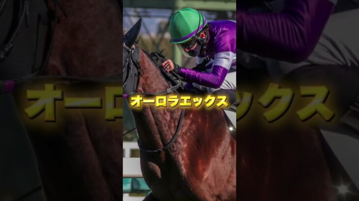 G3小倉牝馬Sの注目馬を3頭紹介＃競馬＃競馬予想＃クイーンズウォーク＃＃オーロラエックス＃アリスヴェリテ