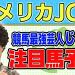 【競馬】アメリカJCCでのじゃいの予想【勝ち馬予想】