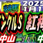 【競馬 JRA全レース予想ライブ】カーバンクルＳ。中山、中京