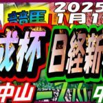 【競馬 JRA全レース予想ライブ】日経新春杯、京成杯。中山、中京