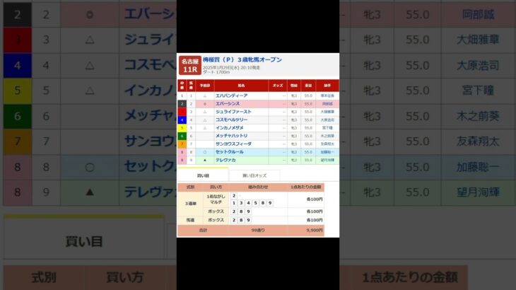 名古屋競馬場 メインレース 梅桜賞（P）  を予想します #競馬 #予想 #競馬予想 #買い目 #名古屋競馬場 #名古屋競馬 #地方競馬 #メインレース #梅桜賞 #shorts