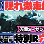 【中央競馬月曜特別R予想】特注穴馬がいっぱい！軽ハンデの長距離砲でお年玉チャレンジ【万葉S/サンライズS2025】