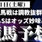 【競馬予想】１月１１日（土曜）平場勝負レース該当馬６レース！中山５レース新馬戦は坂路の動き抜群！すばるSはオッズ妙味が抜群！