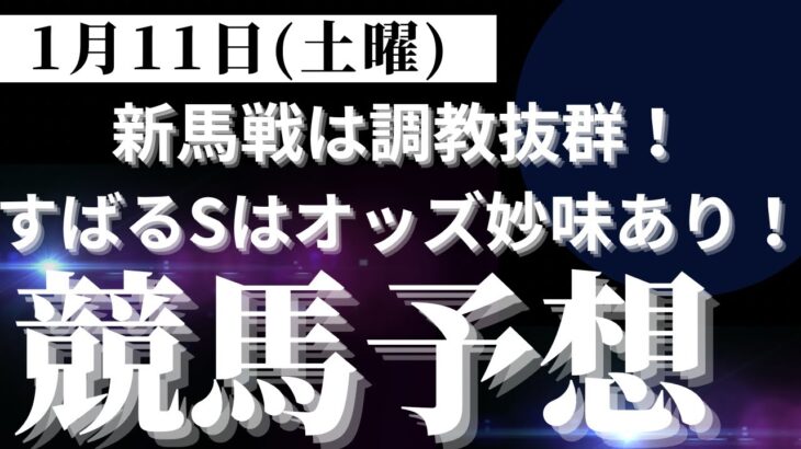 【競馬予想】１月１１日（土曜）平場勝負レース該当馬６レース！中山５レース新馬戦は坂路の動き抜群！すばるSはオッズ妙味が抜群！