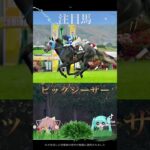 シルクロードS2025競馬予想