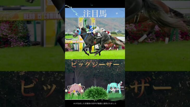 シルクロードS2025競馬予想